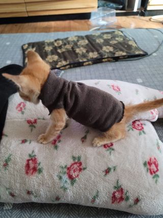 빛그린 김용화님의 자유주제 · 자유게시판 작성글 사진