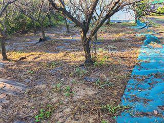 김영복 19146님의 11월 내 작물 자랑하기 · 참여글 작성글 사진