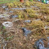 팜모닝 11월 내 작물 자랑하기·참여글 게시글 이미지