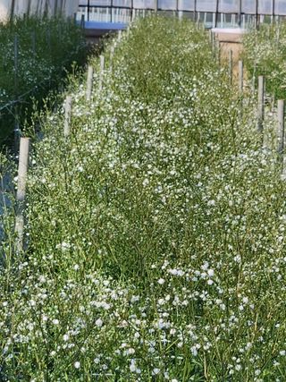 이성자님의 기타작물 · 자유게시판 작성글 사진