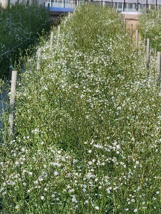 이성자님의 기타작물 · 자유게시판 작성글 사진