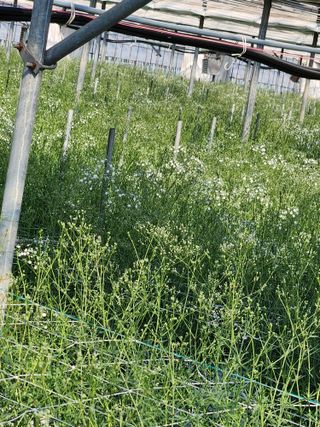 이성자님의 기타작물 · 자유게시판 작성글 사진