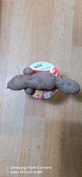 팜모닝 자유주제·자유게시판 게시글 이미지