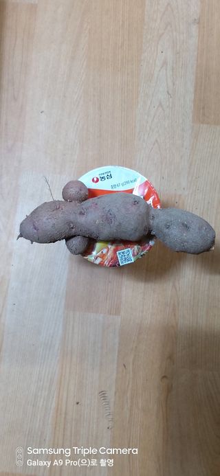 농사정보배우고싶어요님의 자유주제 · 자유게시판 작성글 사진