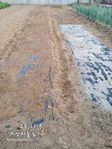 팜모닝 오늘 어떤 농작업하셨나요?·참여글 게시글 이미지