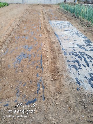 아차골님의 오늘 어떤 농작업하셨나요? · 참여글 작성글 사진