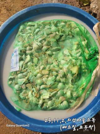 아차골님의 오늘 어떤 농작업하셨나요? · 참여글 작성글 사진