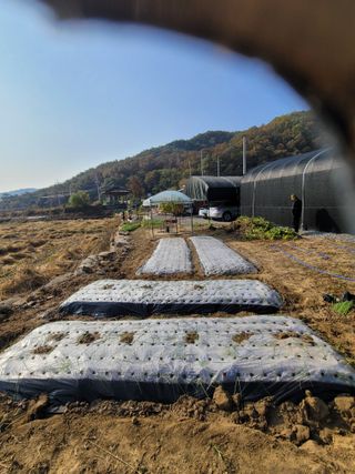 나미공주님의 오늘 어떤 농작업하셨나요? · 참여글 작성글 사진