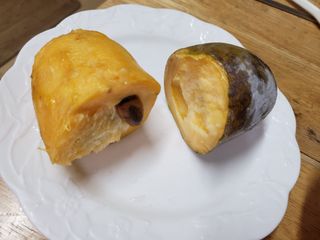 알 수 없음님의 자유주제 · 자유게시판 작성글 사진