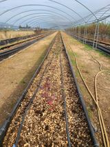 팜모닝 오늘 어떤 농작업하셨나요?·참여글 게시글 이미지