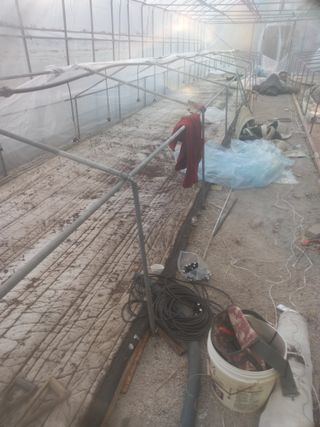 김용철님의 오늘 어떤 농작업하셨나요? · 참여글 작성글 사진