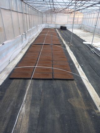 김용철님의 오늘 어떤 농작업하셨나요? · 참여글 작성글 사진