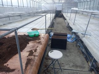 김용철님의 오늘 어떤 농작업하셨나요? · 참여글 작성글 사진