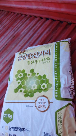 보물섬남자님의 귤 · 영농일지 작성글 사진