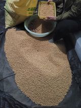 팜모닝 콩·자유게시판 게시글 이미지