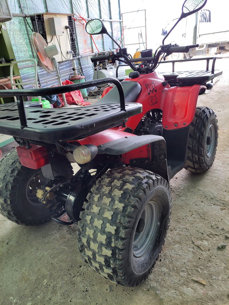 효재처럼님의 장터 판매 상품 [효성100cc 사발이] 첨부 사진