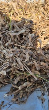 팜모닝 오늘 어떤 농작업하셨나요?·참여글 게시글 이미지