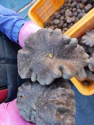 박린님의 자유주제 · 자유게시판 작성글 사진