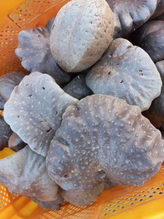 박린님의 자유주제 · 자유게시판 작성글 사진