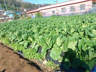 오영도님의 자유주제 · 자유게시판 작성글 사진