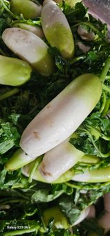 팜모닝 자유주제·자유게시판 게시글 이미지