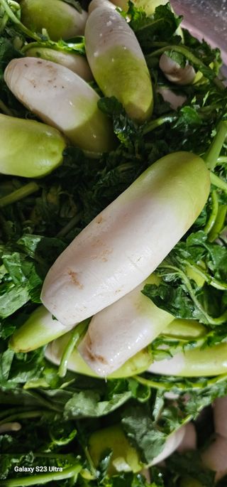 헤라네(김정현)님의 자유주제 · 자유게시판 작성글 사진