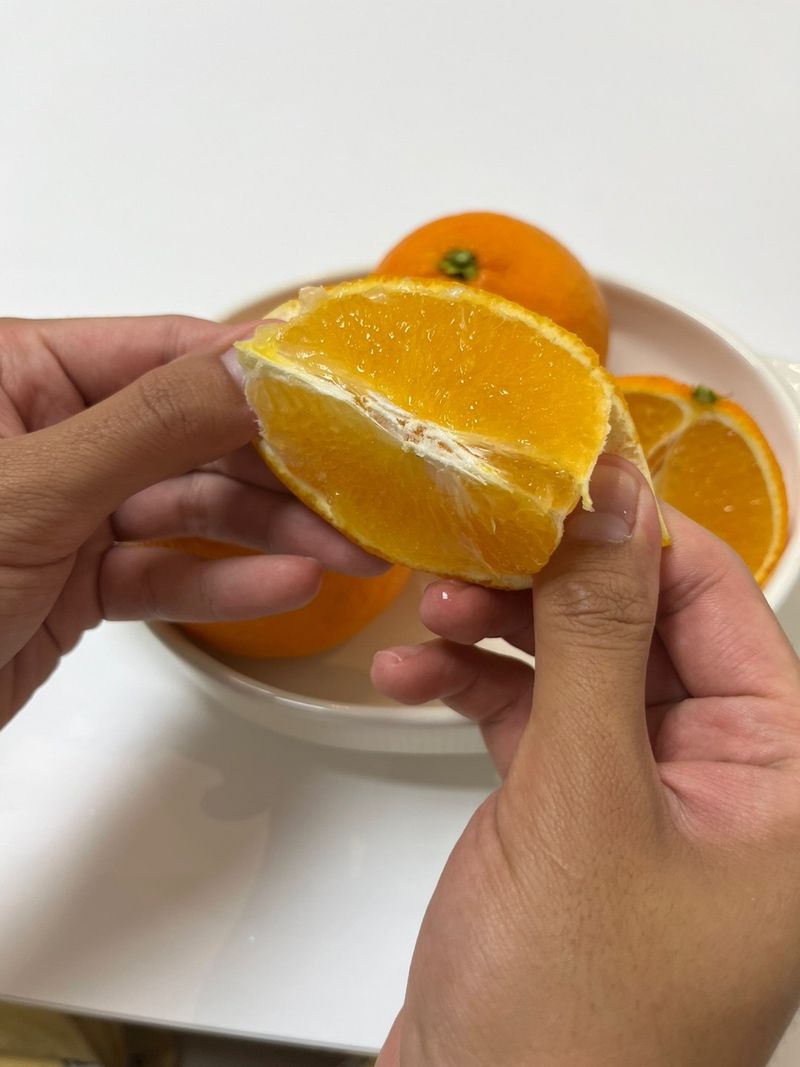 제주감귤소녀님의 장터 판매 상품 [🍊달콤하고 맛있는 제철 하우스 황금향 5kg, 10kg 판매합니다.] 첨부 사진