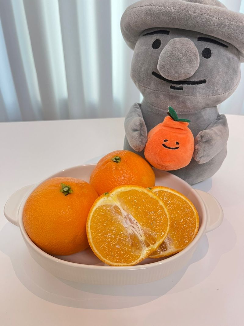 제주감귤소녀님의 장터 판매 상품 [🍊달콤하고 맛있는 제철 하우스 황금향 5kg, 10kg 판매합니다.] 첨부 사진