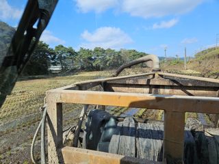 배세래님의 오늘 어떤 농작업하셨나요? · 참여글 작성글 사진
