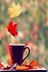 팜모닝 자유주제·자유게시판 게시글 이미지