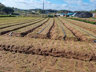 해바우님의 오늘 어떤 농작업하셨나요? · 참여글 작성글 사진