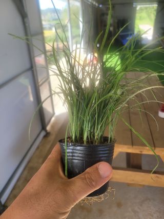 이은호님의 오늘 어떤 농작업하셨나요? · 참여글 작성글 사진