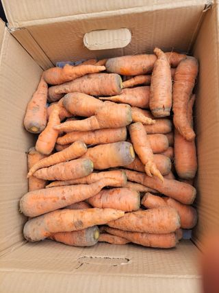 농부쑤니님의 오늘 어떤 농작업하셨나요? · 참여글 작성글 사진