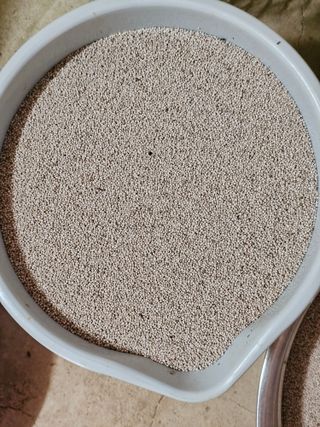 알 수 없음님의 오늘 어떤 농작업하셨나요? · 참여글 작성글 사진