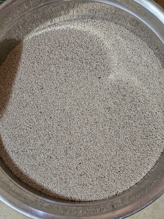 알 수 없음님의 오늘 어떤 농작업하셨나요? · 참여글 작성글 사진