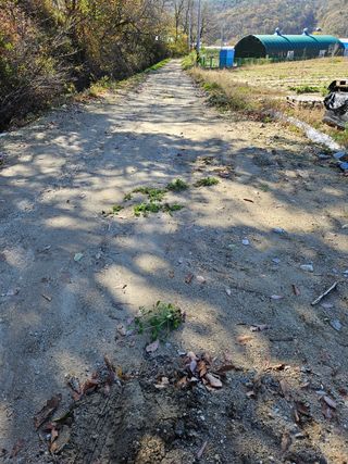 강희상님의 기타작물 · 영농일지 작성글 사진