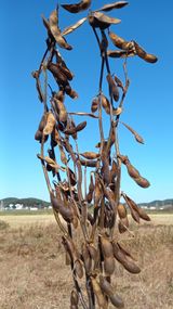 팜모닝 오늘 어떤 농작업하셨나요?·참여글 게시글 이미지