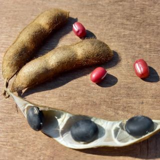 윤충기님의 오늘 어떤 농작업하셨나요? · 참여글 작성글 사진