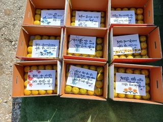 김년욱님의 오늘 어떤 농작업하셨나요? · 참여글 작성글 사진