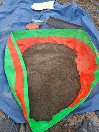 이애숙님의 오늘 어떤 농작업하셨나요? · 참여글 작성글 사진