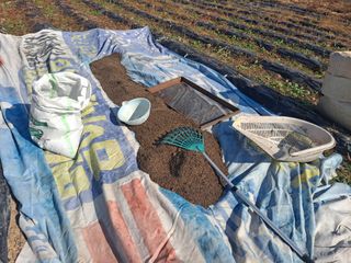 이애숙님의 오늘 어떤 농작업하셨나요? · 참여글 작성글 사진