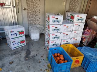 조난희님의 오늘 어떤 농작업하셨나요? · 참여글 작성글 사진