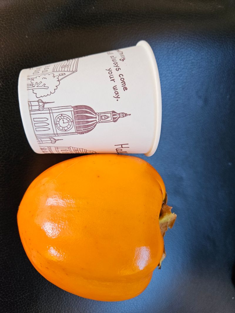 장터 상품 [대봉감 10키로 판매] 썸네일