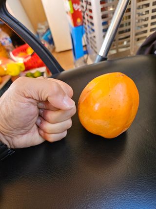 보람농장님의 작성글 사진