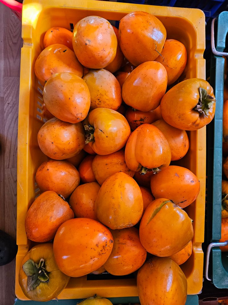 보람농장님의 장터 판매 상품 [대봉감 10키로 판매] 첨부 사진