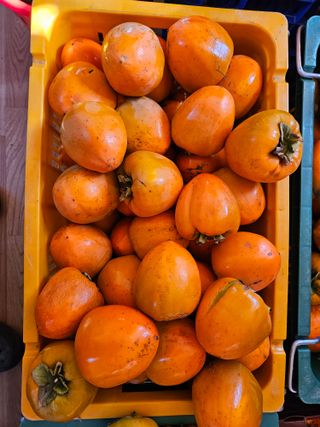 보람농장님의 작성글 사진