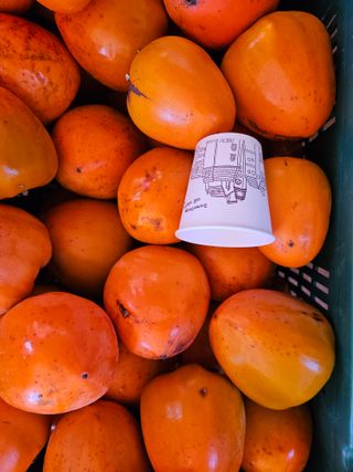 보람농장님의 작성글 사진