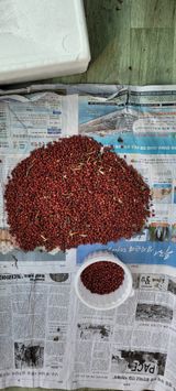 팜모닝 오늘 어떤 농작업하셨나요?·참여글 게시글 이미지