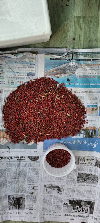 도시농부 박태영님의 오늘 어떤 농작업하셨나요? · 참여글 작성글 사진