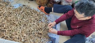 도시농부 박태영님의 오늘 어떤 농작업하셨나요? · 참여글 작성글 사진